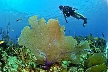 Richmond Vale Diving And Hiking Center - Hostel 2*,  Saint Vincent e Grenadine