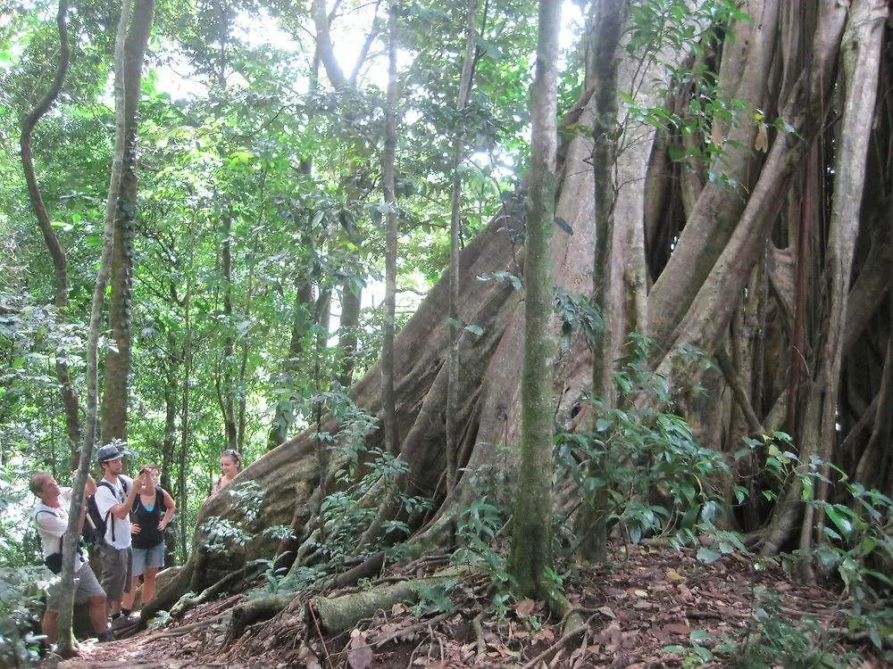 Richmond Vale Diving And Hiking Center - Hostel Saint Vincent e Grenadine