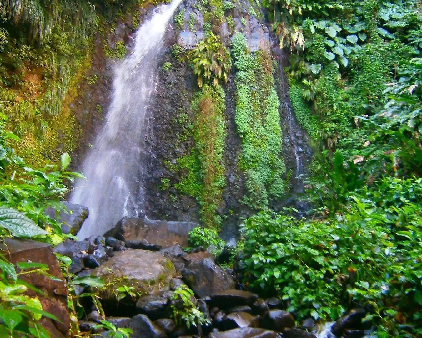 Richmond Vale Diving And Hiking Center - Hostel Hotel